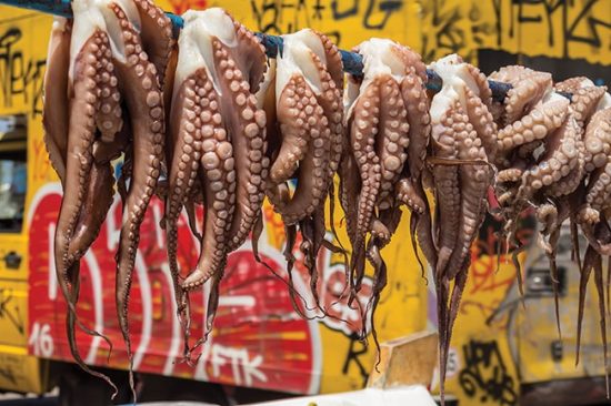 Mass producing octopus would repeat many of the same mistakes