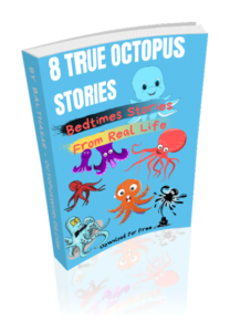 Download Ebook octopus stories from real life