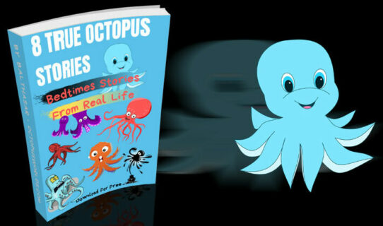 Cover to octopus story ebook