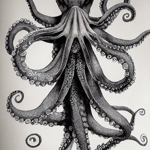Drawing of an octopus - Size 6656 x 9728 Print up to 48